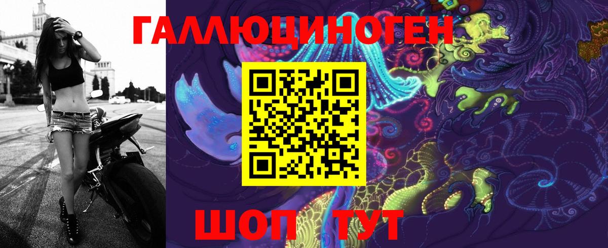 Галлюциногенные грибы Psilocybine cubensis Большой Камень