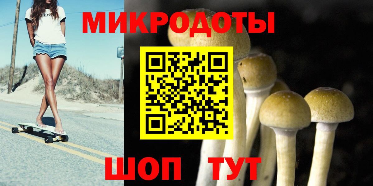 Большой Камень  Галлюциногенные грибы мухоморы  хочу   Вход с VPN 